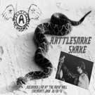 Aerosmith : Rattlesnake Shake